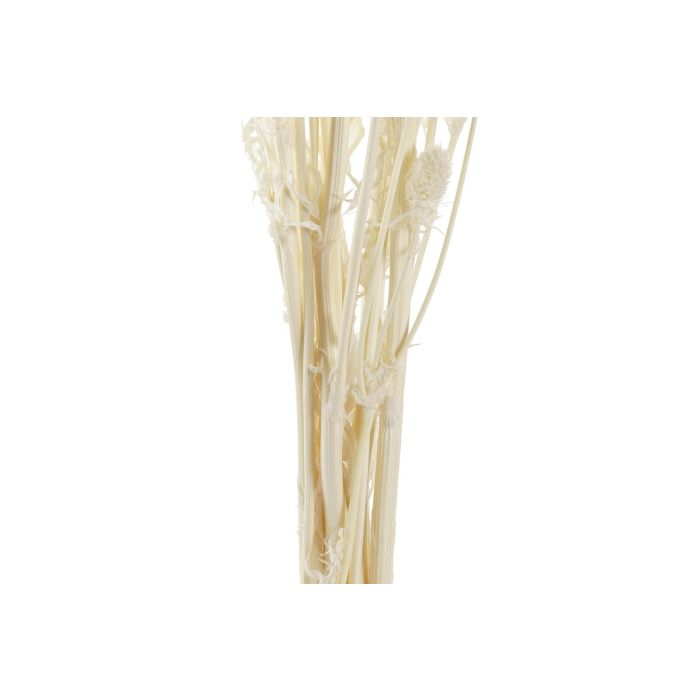 DKD Home Decor Ramo de Flor Seca Pristimera Crema, 12 Unidades, 15x65x15 cm. Pack de Bouquets Decorativos para Centro de Mesa o Jarrones de Hogar. 2 DKD Home Decor Ramo de Flor Seca Pristimera Crema, 12 Unidades, 15x65x15 cm. Pack de Bouquets Decorativos para Centro de Mesa o Jarrones de Hogar. 2