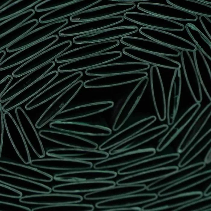 Nature NAT8711338532201 Pantalla de Caña de PVC Doble Cara 1 x 3 m 1600 g/m² Opaco Anti-UV Verde