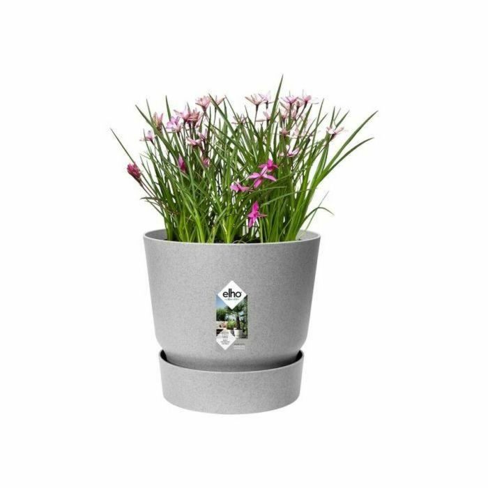 Maceta Elho Greenville Ø 24,48 cm Plástico 4 Maceta Elho Greenville Ø 24,48 cm Plástico 4