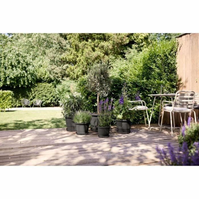 Maceta Elho Amiga Round 40 Negro Antracita 39 x 29 cm 2 Maceta Elho Amiga Round 40 Negro Antracita 39 x 29 cm 2