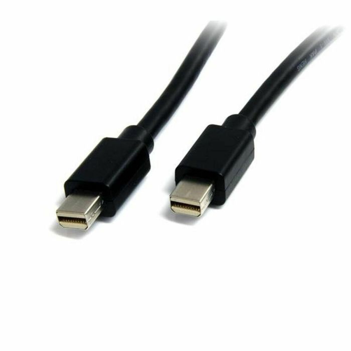 Cable Mini DisplayPort Startech MDISP2M 4K Ultra HD 2 m Negro