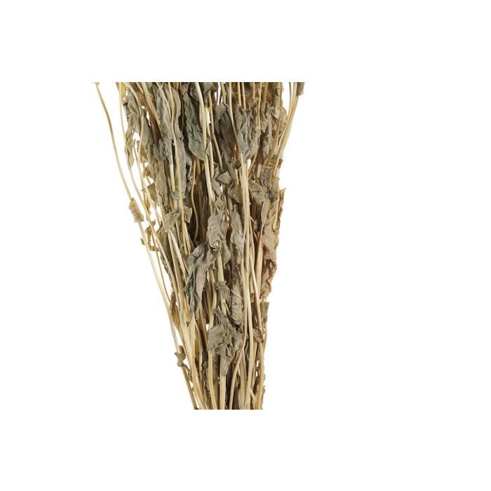 DKD Home Decor Ramo de Flor Seca Blanco y Rosa para Decoración, Pack de 12 Unidades Surtidas, 60 cm Alto x 3 cm Largo x 16 cm Ancho 2 DKD Home Decor Ramo de Flor Seca Blanco y Rosa para Decoración, Pack de 12 Unidades Surtidas, 60 cm Alto x 3 cm Largo x 16 cm Ancho 2