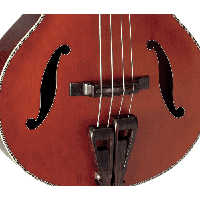 Bajo Acústico Takamine Db10 Fretless E/A F-Hole Cutaway 4