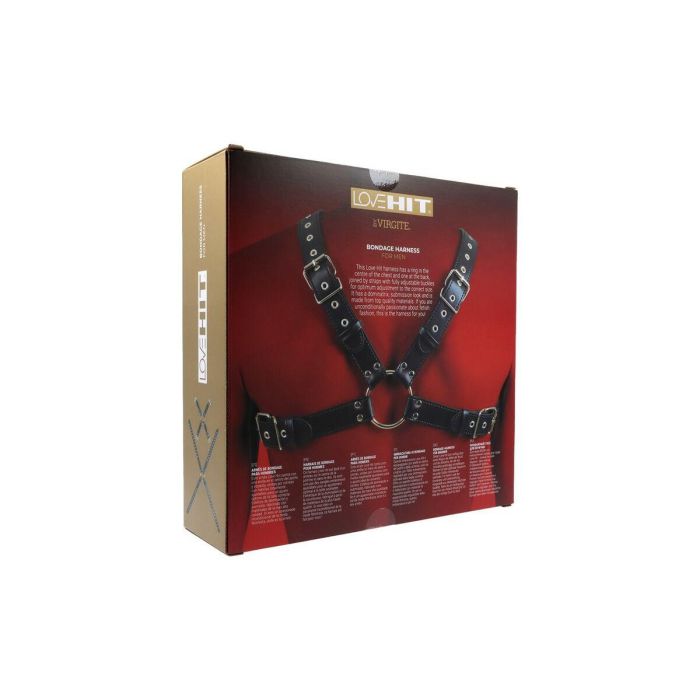 Arnés Virgite MOD. 3 1