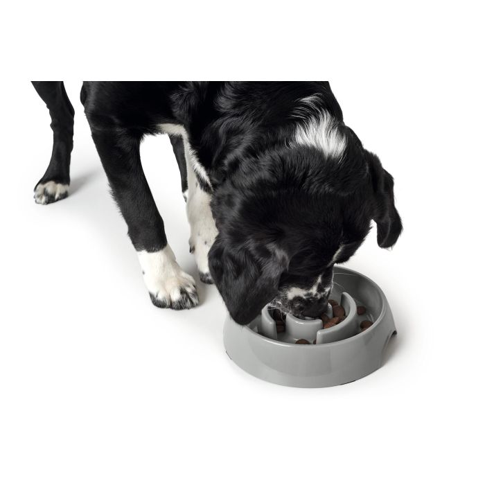 Hunter Comedero Anti-Glotón Atlanta para Perros 900 mL Melamina Gris Antideslizante Lavavajillas 2