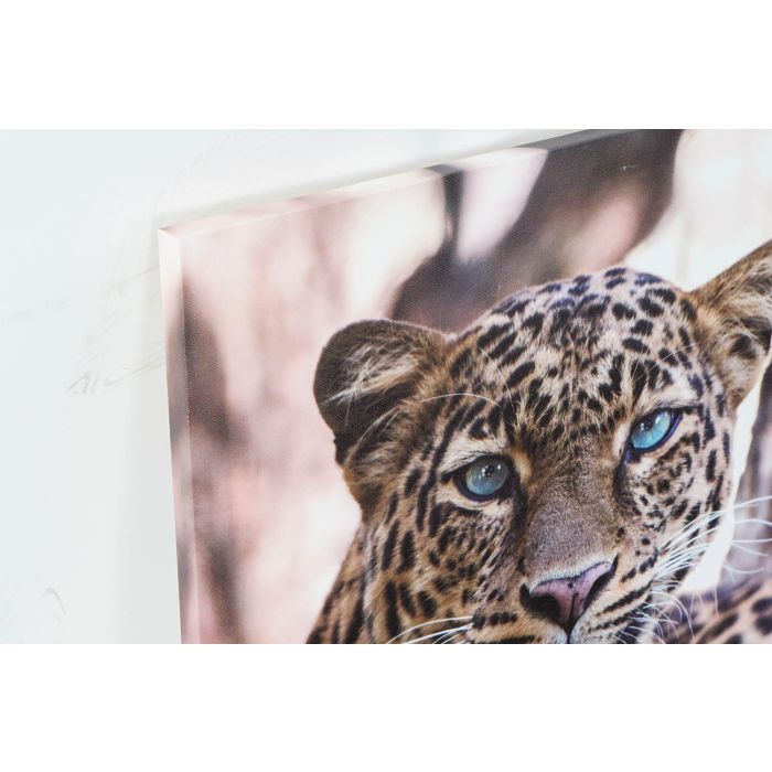DKD Home Decor Cuadro Decorativo Set 3 Unidades Estilo Colonial con Detalles de Leopardo Multicolor 70x50x1.8 cm en Lienzo y MDF Surtidos 1