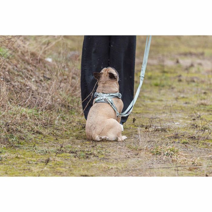 Arnés para Perro Trixie Premium FlexMesh S-M 3 Arnés para Perro Trixie Premium FlexMesh S-M 3