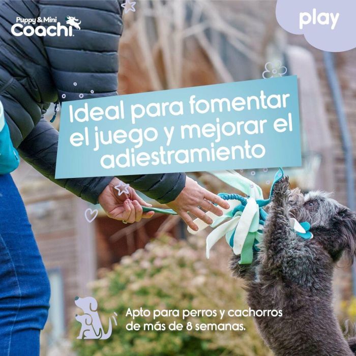 Arnés para Perro Coachi 3 Arnés para Perro Coachi 3