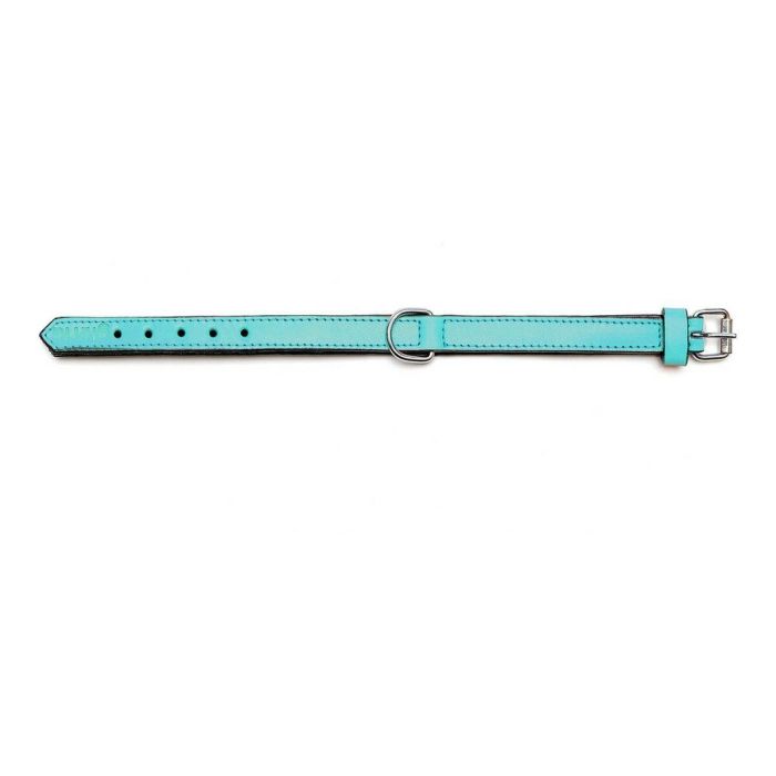 Collar Piel Acolchado 55 cm X 25 mm Turquesa 6