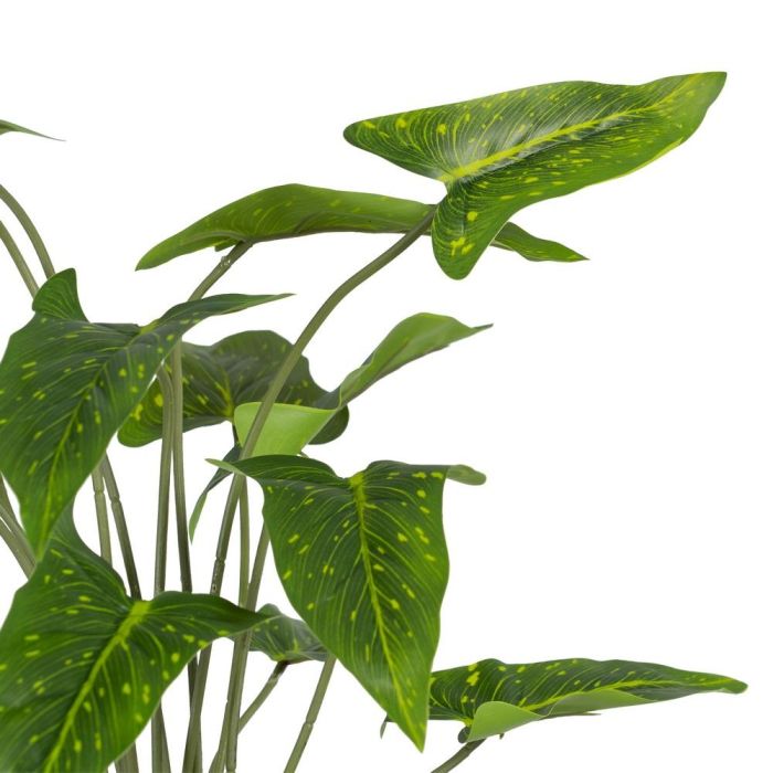 Rama Singonio Verde "Pvc" 43 X 41 X 46 cm