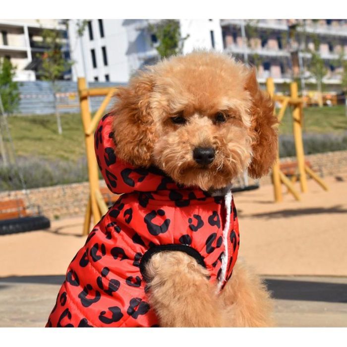 Chaqueta Con Capucha Red Leopard 1