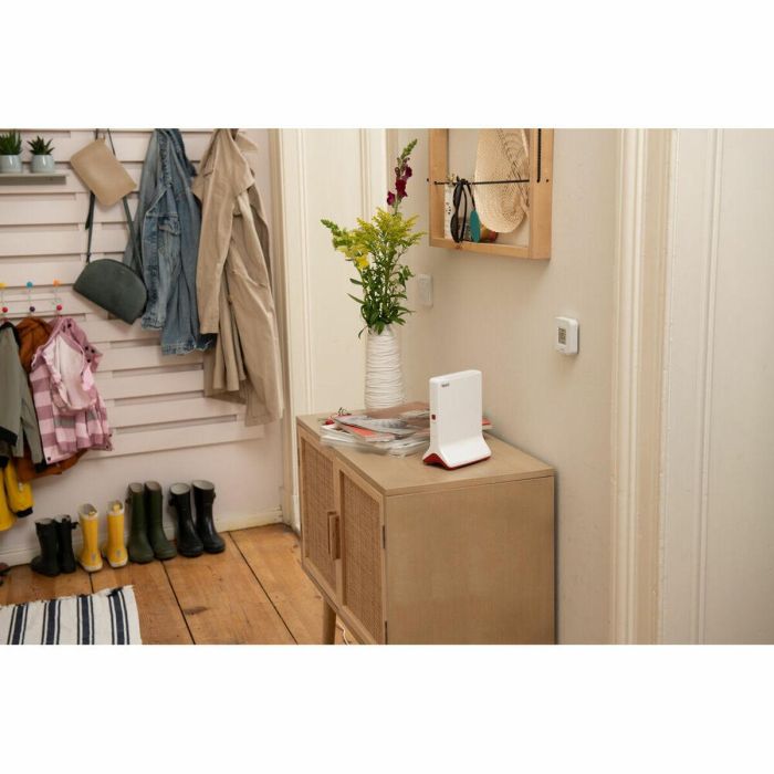 Fritz Repetidor Wifi 6 6000 Mesh - Alta Velocidad hasta 6000 Mbps, Wi-Fi Tribanda, 2 Puertos Gigabit LAN, Compatible con FRITZ!Box 1 Fritz Repetidor Wifi 6 6000 Mesh - Alta Velocidad hasta 6000 Mbps, Wi-Fi Tribanda, 2 Puertos Gigabit LAN, Compatible con FRITZ!Box 1