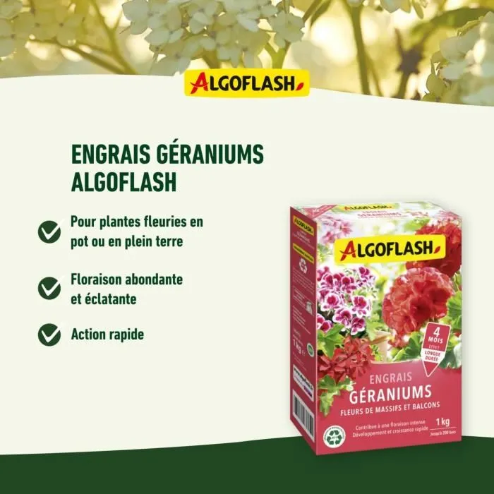 Algoflash Naturasol SMART1N Fertilizante para Geranios, Flores de Camas y Balcones - 1 kg 2 Algoflash Naturasol SMART1N Fertilizante para Geranios, Flores de Camas y Balcones - 1 kg 2