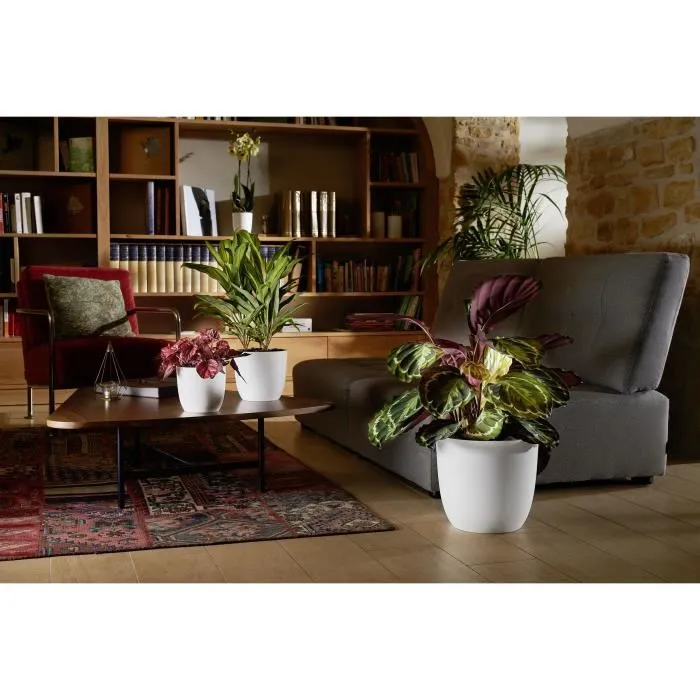 Eda EDA3086960265533 Plato/Fuente Opal Ø 29.5 cm - Volumen 14.8 L - Blanco 1