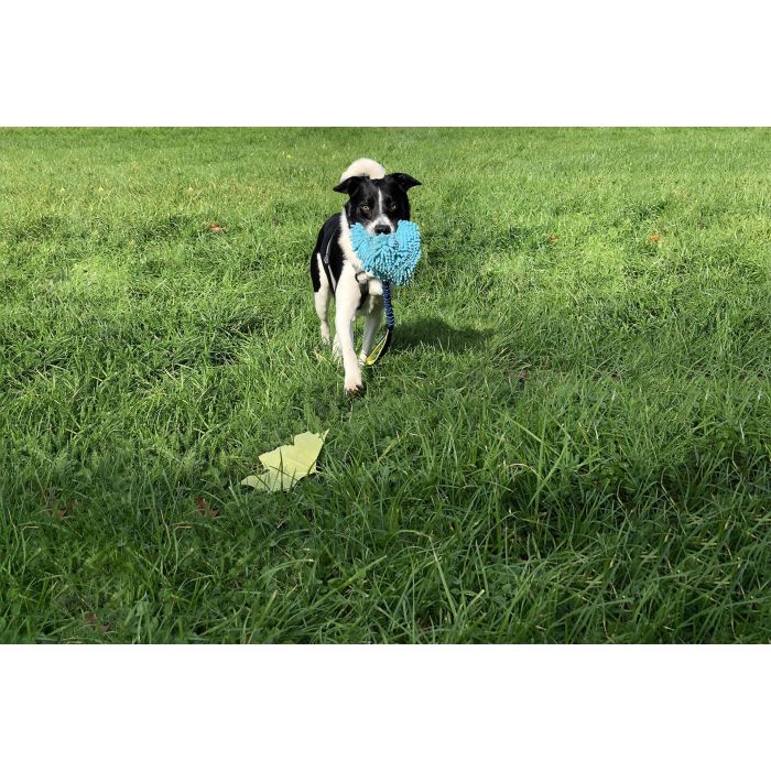 Coachi Tuggi Hide Juguete Adiestramiento Interactivo para Perros y Cachorros con Bolsillo, Asa Neopreno, Ayuda a No Morder - Azul-Lima-Azul Claro 8 Coachi Tuggi Hide Juguete Adiestramiento Interactivo para Perros y Cachorros con Bolsillo, Asa Neopreno, Ayuda a No Morder - Azul-Lima-Azul Claro 8