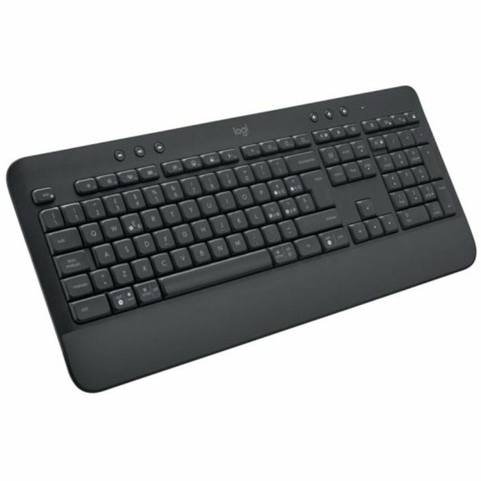 Teclado Logitech 920-010915 Negro Qwerty Español 4