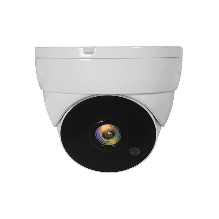 LevelOne ACS-5302 Cámara de Seguridad CCTV Dome 2MP IR Interior/Exterior IP67 Visión Nocturna 30m