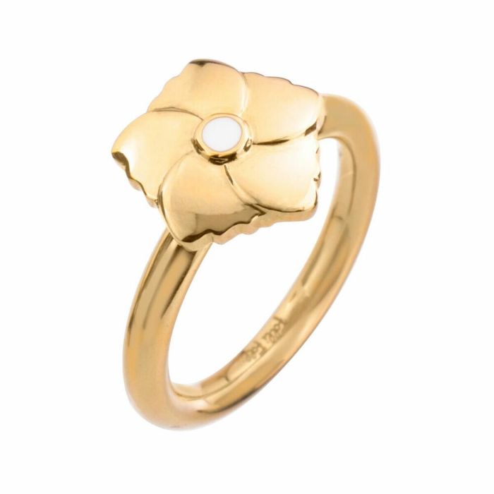 Anillo Mujer Folli Follie 3R19T010YW-54 (14) Anillo Mujer Folli Follie 3R19T010YW-54 (14)