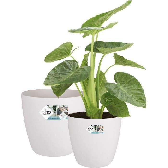 Elho 5643504015041 Juego 2 Maceteros Redondos Bruselas con Ruedas Ø35xH33cm y Ø39xH36.5cm, 55L, Blanco 0 Elho 5643504015041 Juego 2 Maceteros Redondos Bruselas con Ruedas Ø35xH33cm y Ø39xH36.5cm, 55L, Blanco 0
