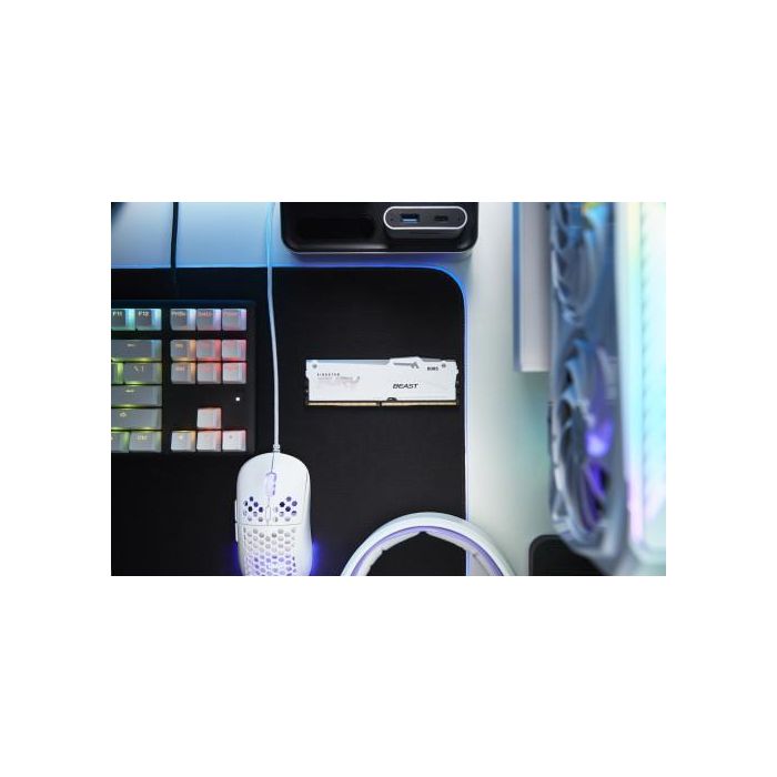 Kingston KF560C36BWEA-32 FURY Beast DDR5 RGB 32GB (1x32GB) 6000MT/s CL36 Gaming RAM para PC/Servidor, XMP 3.0, AMD EXPO 7 Kingston KF560C36BWEA-32 FURY Beast DDR5 RGB 32GB (1x32GB) 6000MT/s CL36 Gaming RAM para PC/Servidor, XMP 3.0, AMD EXPO 7