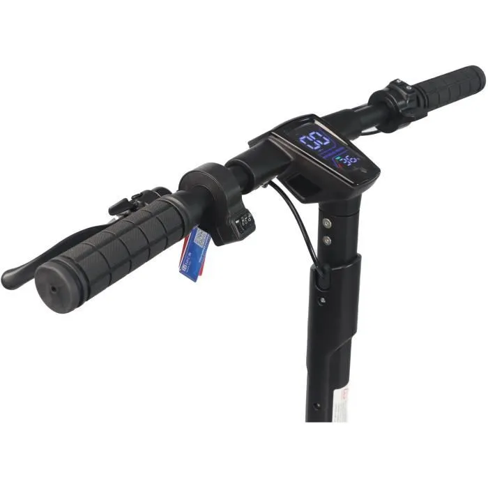 Dualtron Patinete Eléctrico Dolphin DUA3701122125103 450W 9 Pulgadas 25 km 2