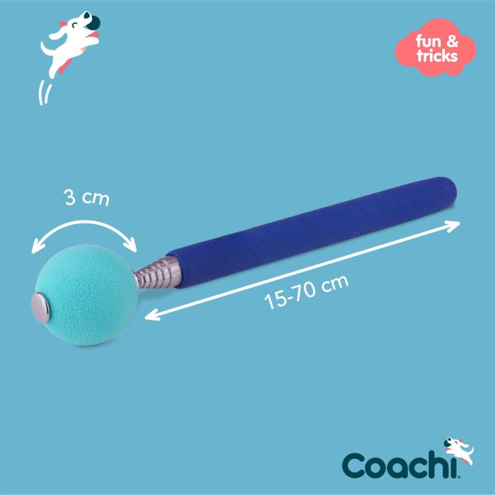 Coachi Target Stick Azul Telescópico con Clicker y Pelota de Espuma Grande para Adiestramiento Perros y Cachorros, Agilidad 6 Coachi Target Stick Azul Telescópico con Clicker y Pelota de Espuma Grande para Adiestramiento Perros y Cachorros, Agilidad 6