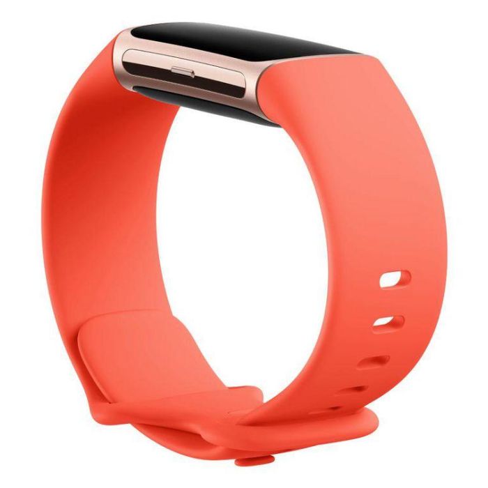 Fitbit Coral / Champagne Gold Aluminium, AMOLED, Corning Gorilla Glass 3, NFC, Lithium-polymer 2 Fitbit Coral / Champagne Gold Aluminium, AMOLED, Corning Gorilla Glass 3, NFC, Lithium-polymer 2