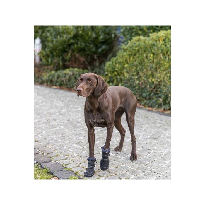 Andador de protección de patas Trixie Negro S 12