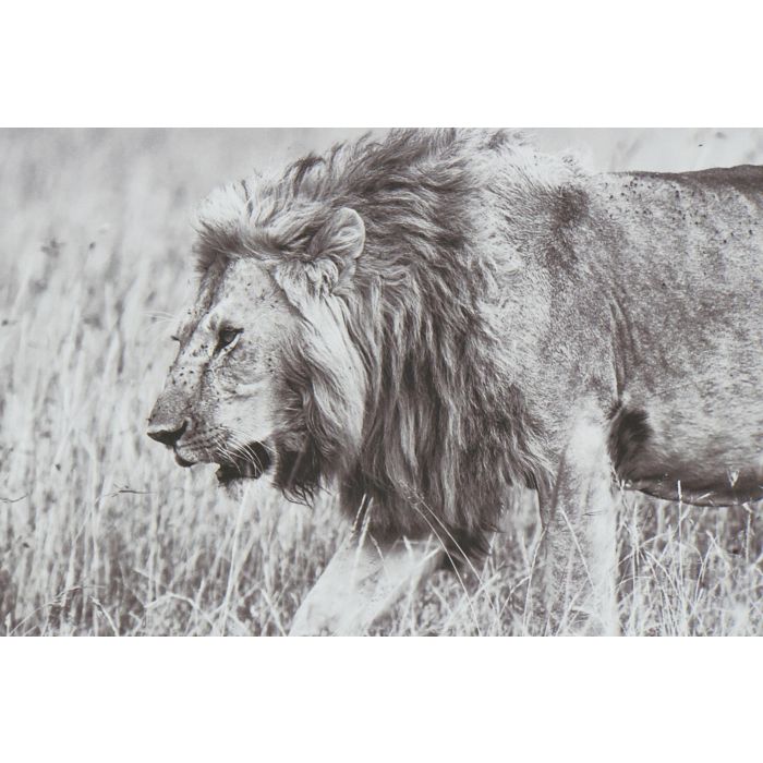 Cuadro Colonial DKD Home Decor Blanco Negro 3.5 x 32 x 92.5 cm (3 Unidades) 2 Cuadro Colonial DKD Home Decor Blanco Negro 3.5 x 32 x 92.5 cm (3 Unidades) 2