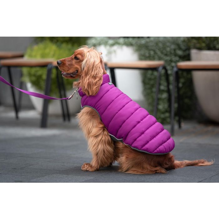 Red Dingo Abrigo Reversible Rd Puffer Jacket Morado-Rosa 50 cm, Chaleco Ligero Resistente al Viento con Neopreno en el Pecho 4 Red Dingo Abrigo Reversible Rd Puffer Jacket Morado-Rosa 50 cm, Chaleco Ligero Resistente al Viento con Neopreno en el Pecho 4