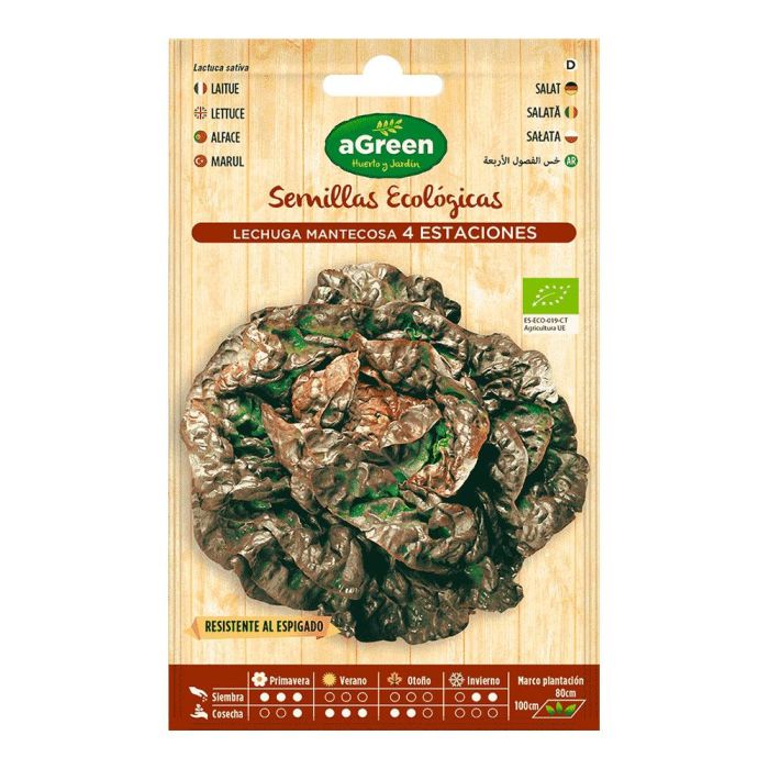 Agreen Sobre con semillas eco de lechuga cuatro estaciones