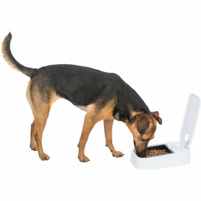 Comedero para Mascotas Trixie Blanco Negro Plástico 300 ml 1 Comedero para Mascotas Trixie Blanco Negro Plástico 300 ml 1