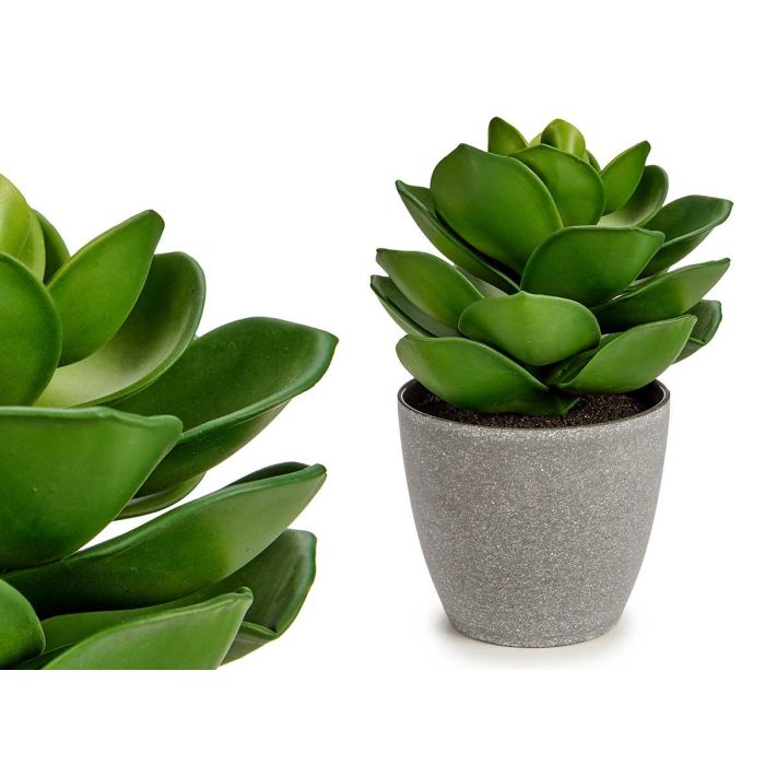 Ibergarden Maceta Planta Hoja Ancha Grande Plástico Verde/Gris 16x21x16 cm (Set de 12) Ibergarden Maceta Planta Hoja Ancha Grande Plástico Verde/Gris 16x21x16 cm (Set de 12)