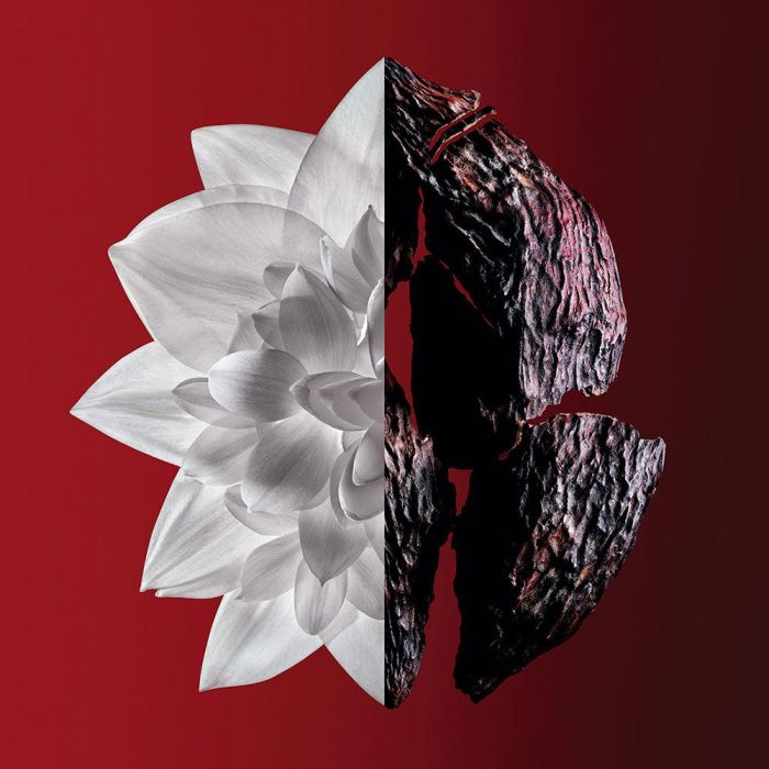 Givenchy L'INTERDIT ROUGE ULTIME Eau De Parfum Vaporizador Mujer 80 ml Givenchy L'INTERDIT ROUGE ULTIME Eau De Parfum Vaporizador Mujer 80 ml