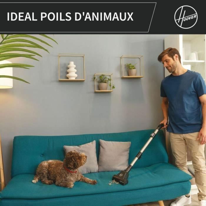 Hoover HP321PAF Aspirador de Bidón sin Bolsa, 850W, 75dBA, 2L, Gris 3 Hoover HP321PAF Aspirador de Bidón sin Bolsa, 850W, 75dBA, 2L, Gris 3