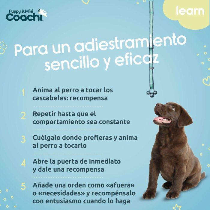 Arnés para Perro Coachi 1 Arnés para Perro Coachi 1