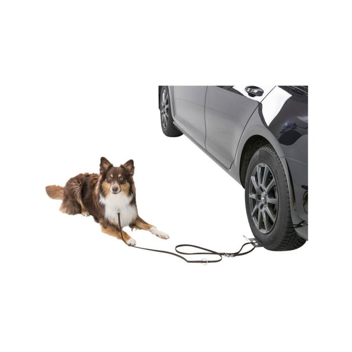 Aparca perros Trixie 2