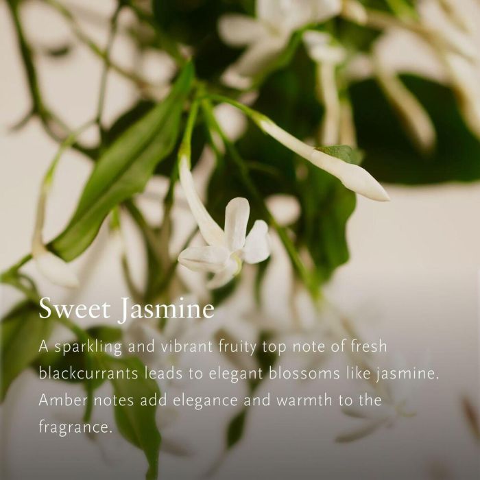 Ambientador Rituals PRIVATE COLLECTION 3