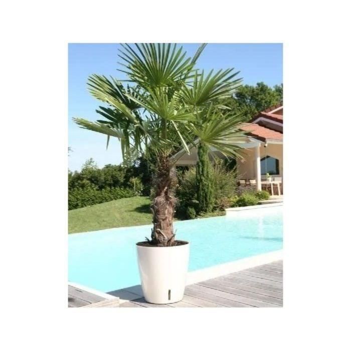 Jardinera redonda RIVIERA EVA NEW - Plástico - Diámetro 36 cm - Azul 1 Jardinera redonda RIVIERA EVA NEW - Plástico - Diámetro 36 cm - Azul 1