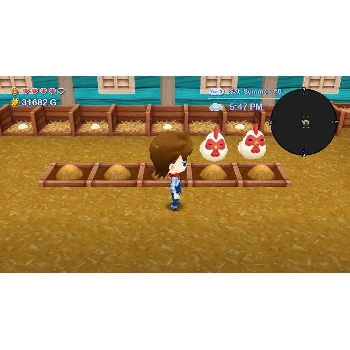 Just For Games Harvest Moon The Lost Valley + Skytree Village - Edición coleccionista - Nintendo Switch JUS1743244689121 7