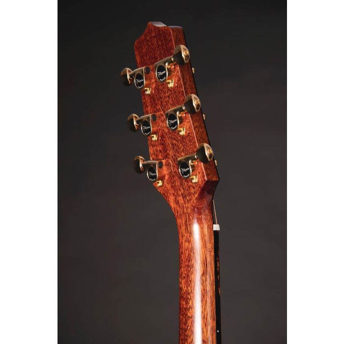 Guitarra Takamine Ltd 2025 - Antique Ever Green 2 Guitarra Takamine Ltd 2025 - Antique Ever Green 2