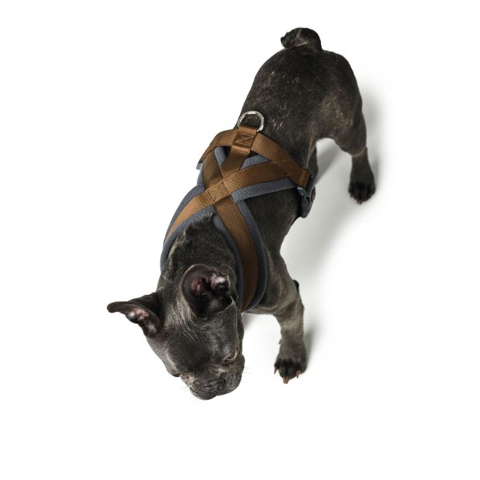 Hunter Arnés London Comfort Marrón para Perro, Talla S-M (Pecho 52-62 cm), Poliéster Suave, Resistente y Ajustable con Cierre de Seguridad 5