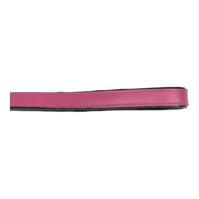 Gloria Correa Piel Auténtica Acolchada para Perro 100 cm x 18 mm, Suave, Mosquetón Robusto Retráctil, 3 Capas, Cosido Reforzado 2 Gloria Correa Piel Auténtica Acolchada para Perro 100 cm x 18 mm, Suave, Mosquetón Robusto Retráctil, 3 Capas, Cosido Reforzado 2