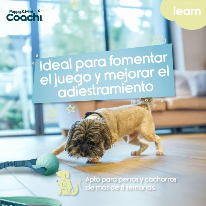 Arnés para Perro Coachi