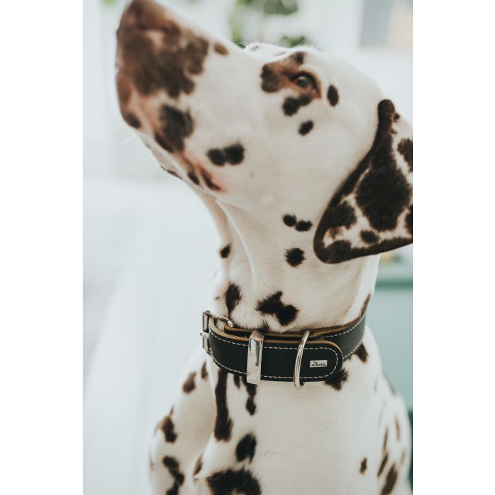Hunter Collar Aalborg Special 24-30 cm Negro para Perro 4