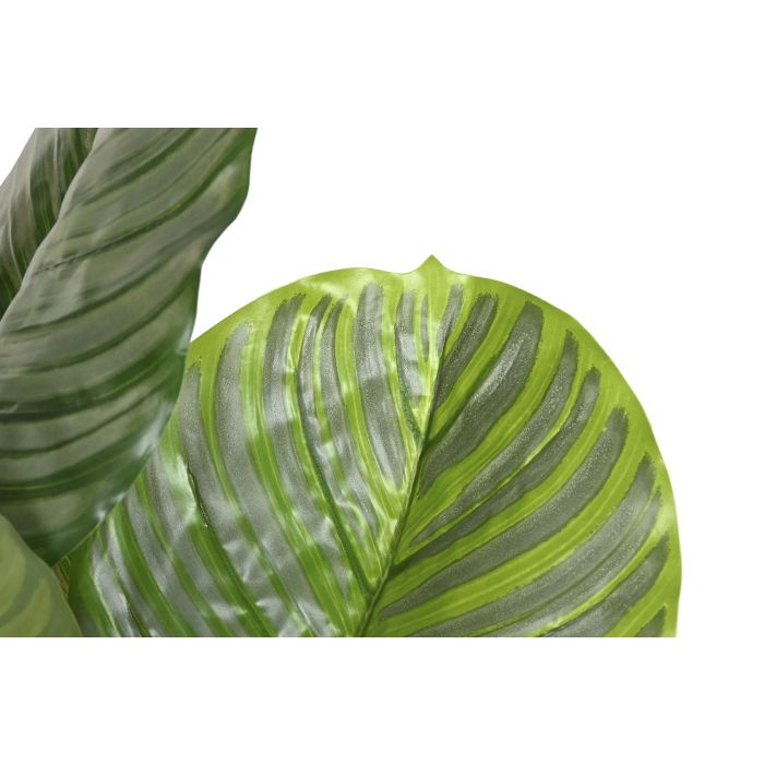 Planta Tropical DKD Home Decor Verde 80 x 120 x 80 cm (2 Unidades) 1 Planta Tropical DKD Home Decor Verde 80 x 120 x 80 cm (2 Unidades) 1
