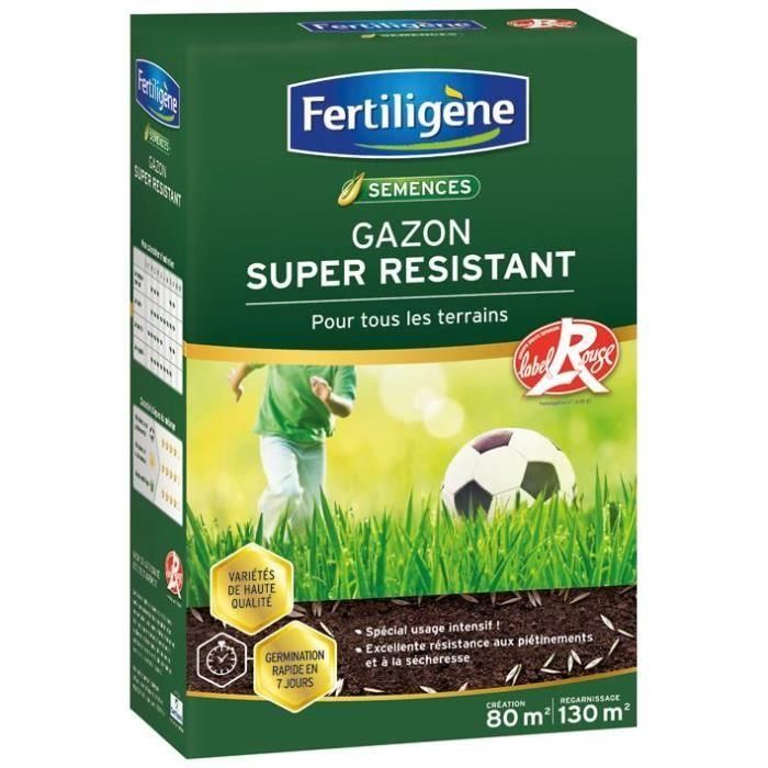 FERTILIGENE Super Resistente Grass All Terrain - 2 kg