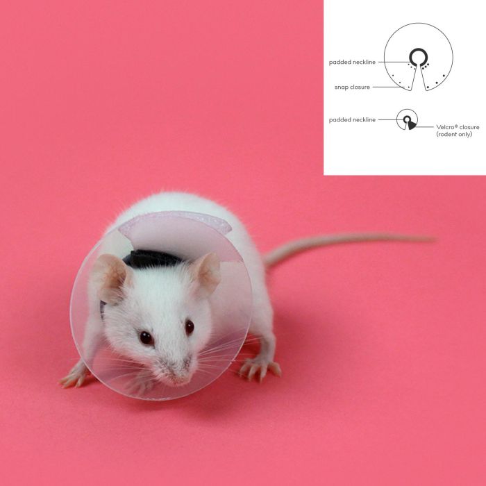 KVP Collar Saf T Shield Transparente para Roedores Ultraligero 7.5-10 cm Prof11 cm - Cuello Acolchado, Visión Clara 1