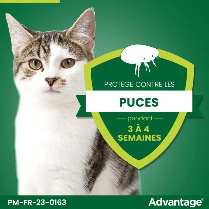 Advantage 40 Pipetas Antiparasitarias para Gatos y Conejos de menos de 4 kg - 4 Unidades 3 Advantage 40 Pipetas Antiparasitarias para Gatos y Conejos de menos de 4 kg - 4 Unidades 3