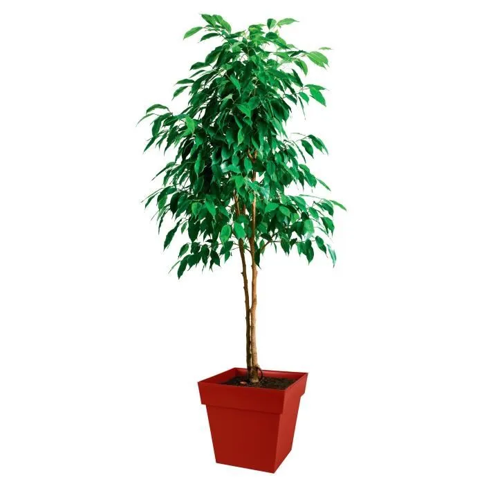 EDA AUC3086960235802 Maceta Cuadrada para Plantas y Flores Toscana de 39x39x39 cm, con 38 Litros de Capacidad, Rojo Rubí 1